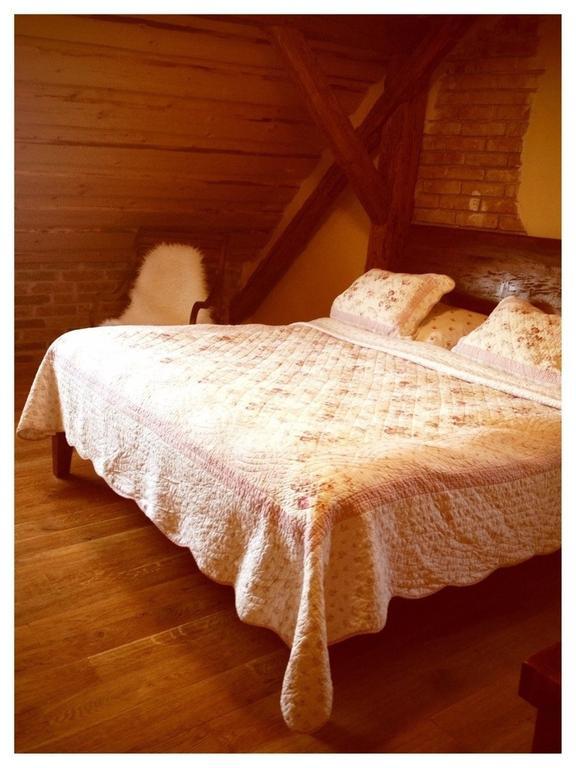 Dvur Olsiny -Hotel And Horse-Riding Karviná Quarto foto